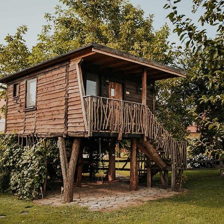Hotel Treehouse Drevesna Hiska Strkovo Gnezdo Ranc Jures à Ljutomer Extérieur photo