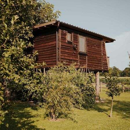 Hotel Treehouse Drevesna Hiska Strkovo Gnezdo Ranc Jures à Ljutomer Extérieur photo