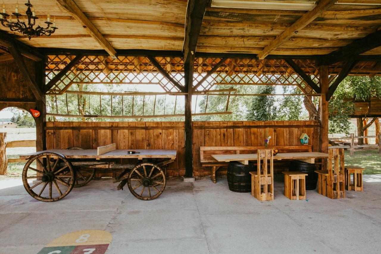 Hotel Treehouse Drevesna Hiska Strkovo Gnezdo Ranc Jures à Ljutomer Extérieur photo