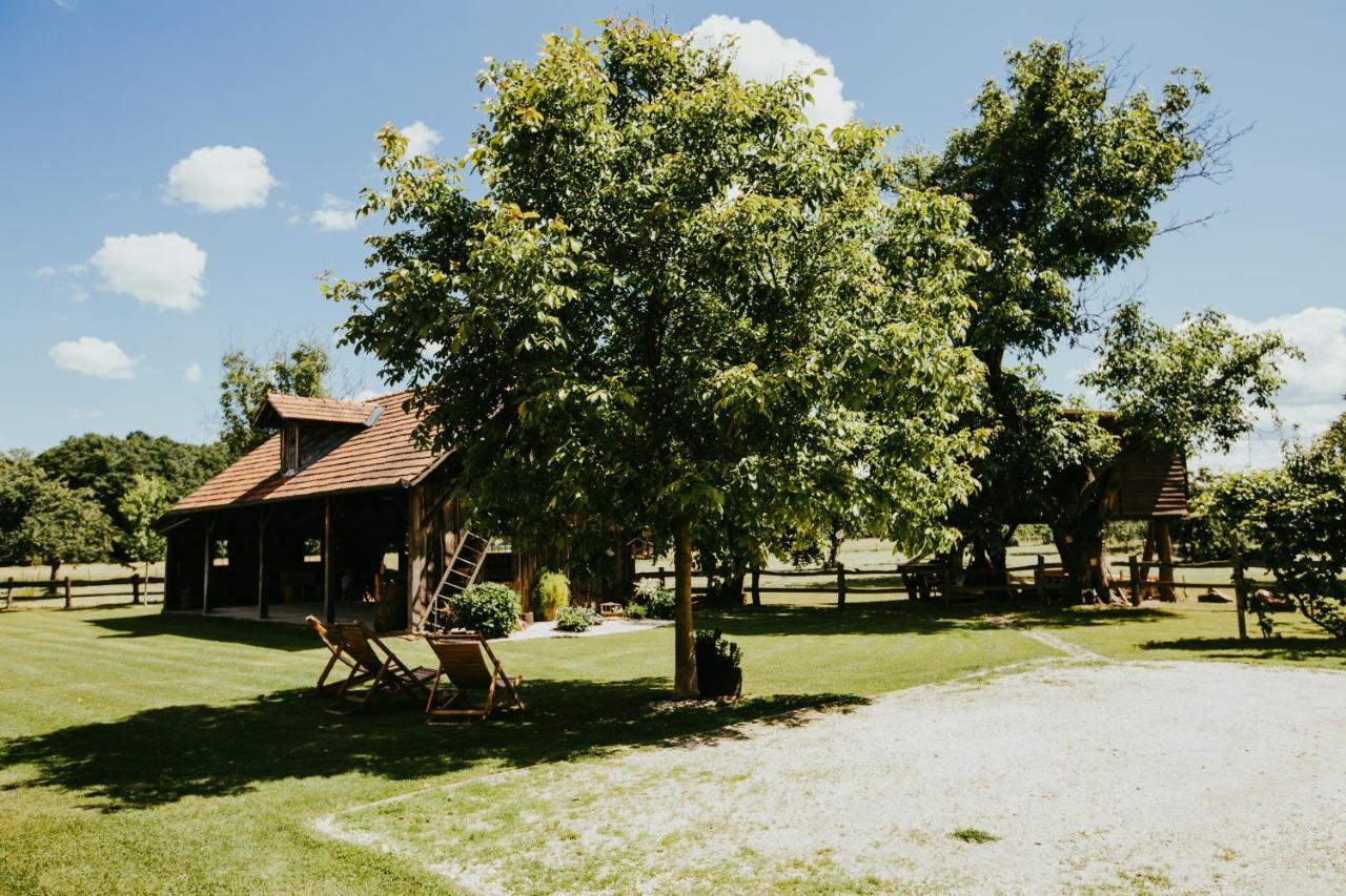 Hotel Treehouse Drevesna Hiska Strkovo Gnezdo Ranc Jures à Ljutomer Extérieur photo