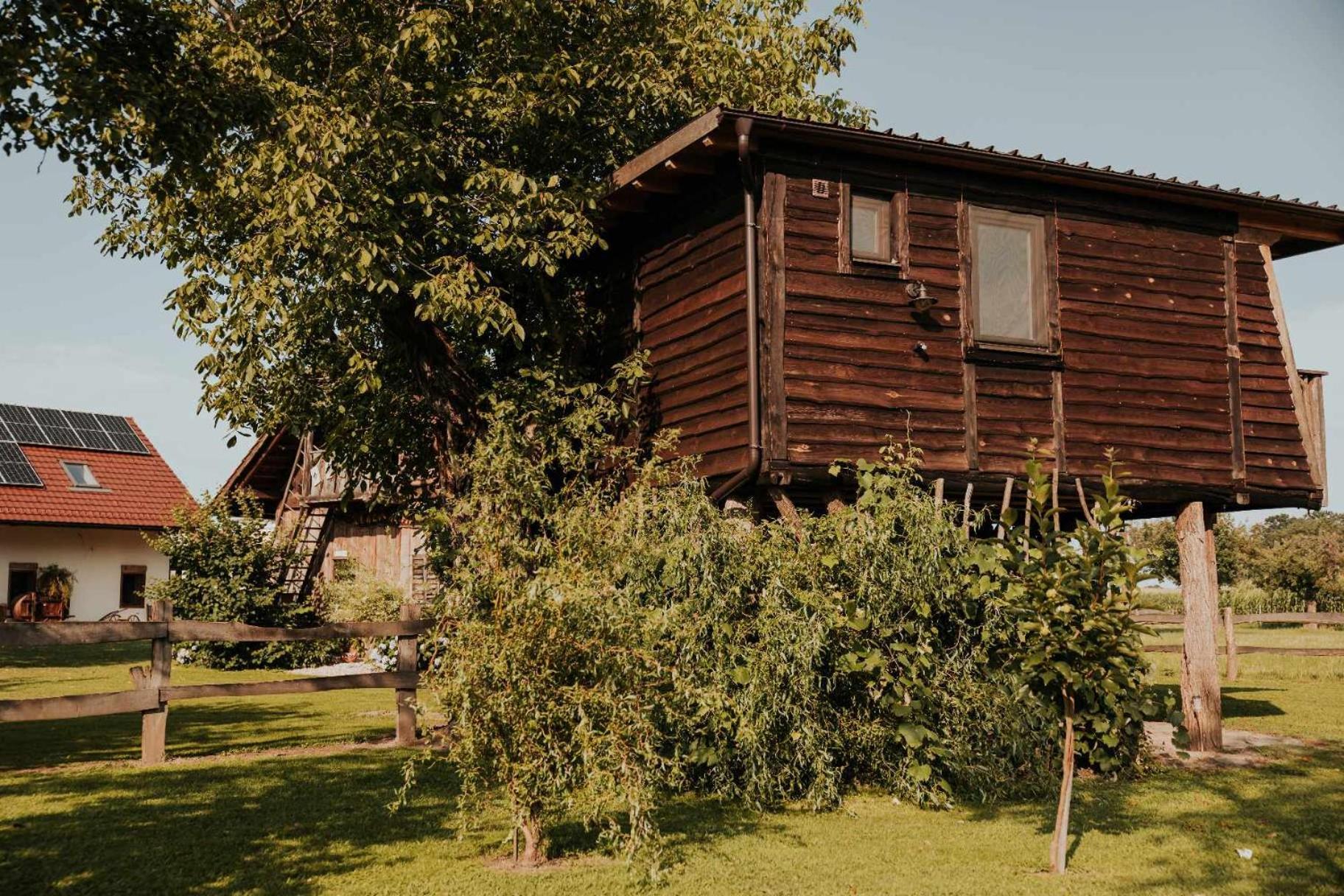 Hotel Treehouse Drevesna Hiska Strkovo Gnezdo Ranc Jures à Ljutomer Extérieur photo