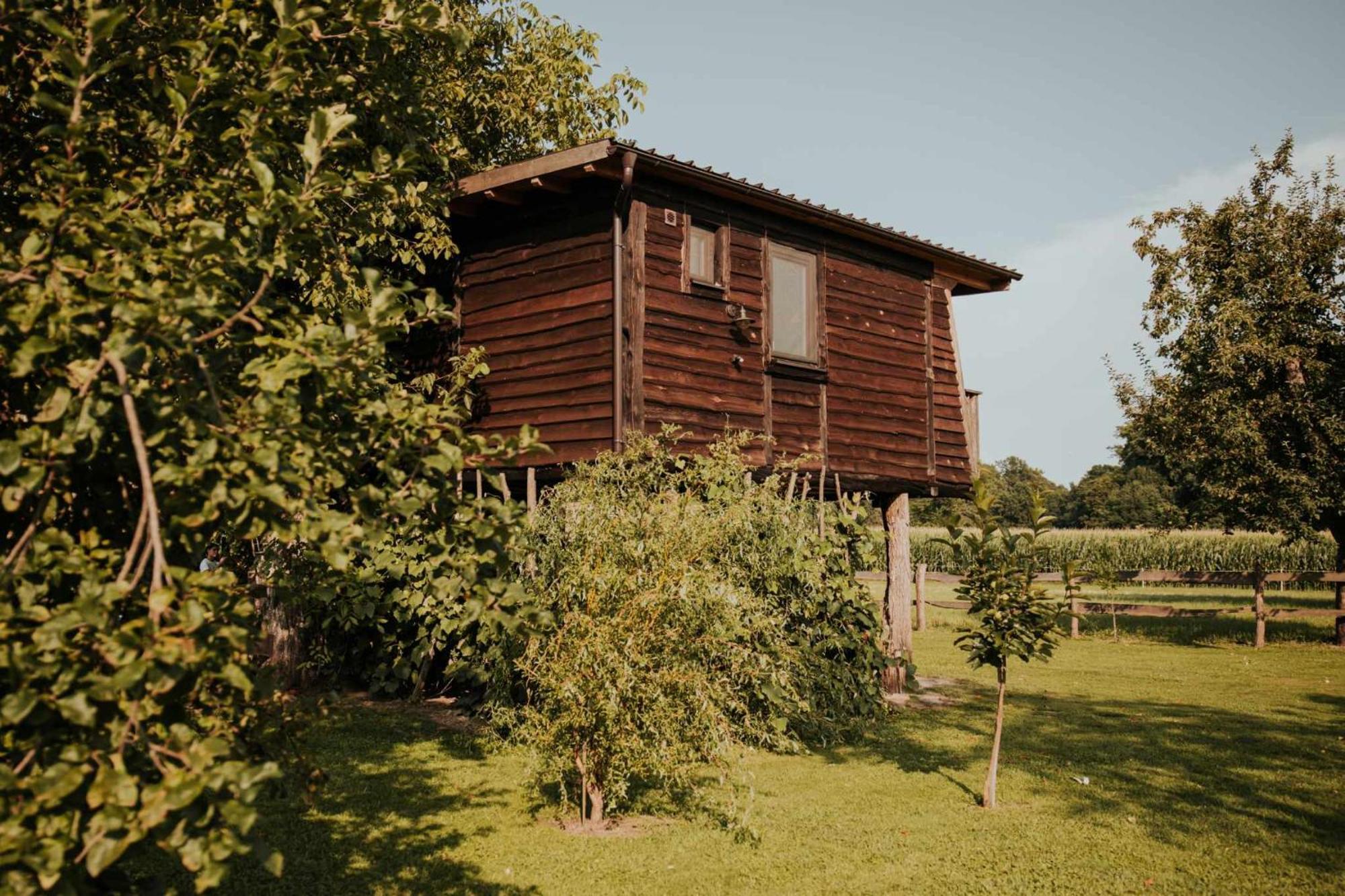 Hotel Treehouse Drevesna Hiska Strkovo Gnezdo Ranc Jures à Ljutomer Extérieur photo