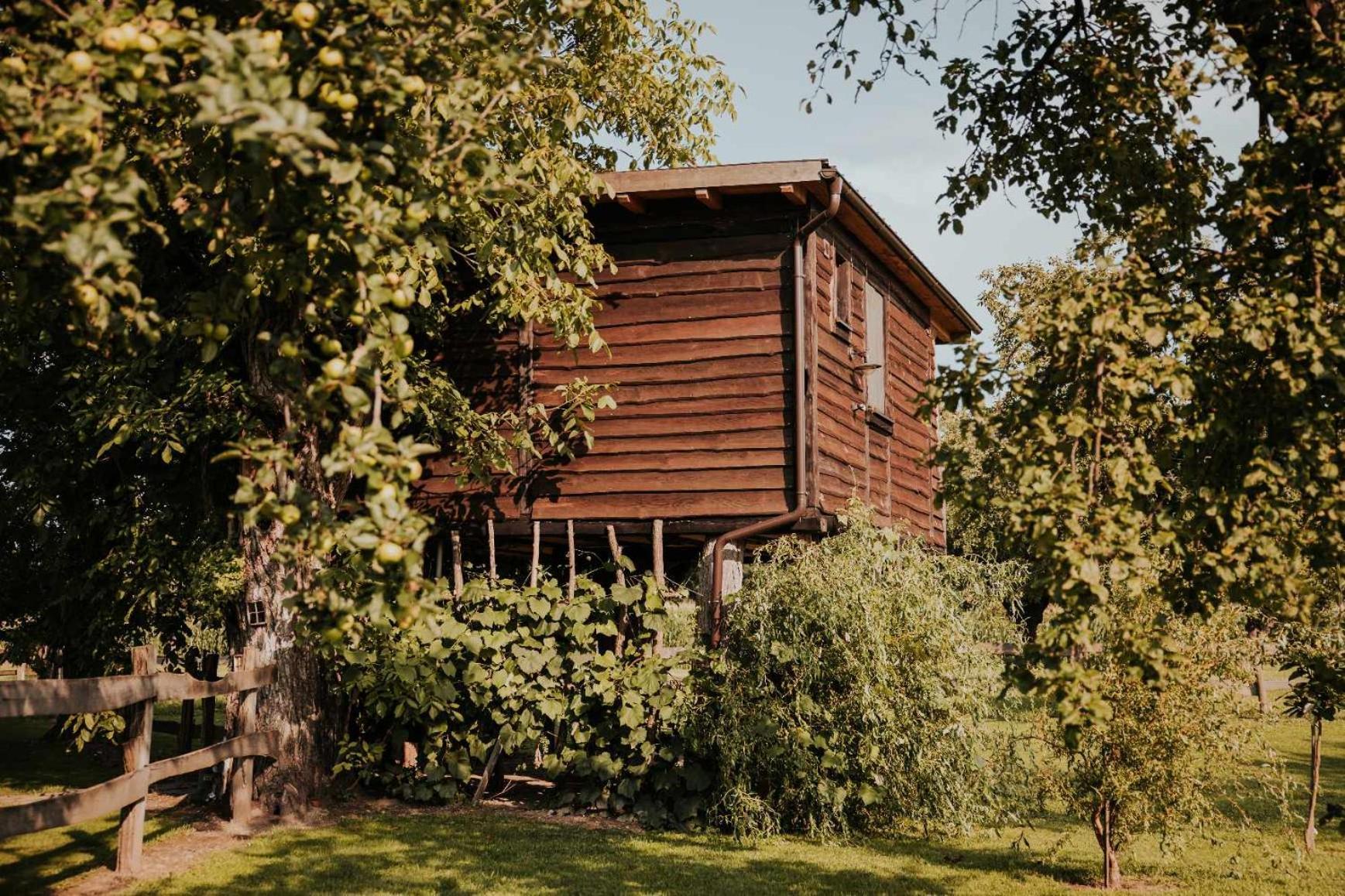 Hotel Treehouse Drevesna Hiska Strkovo Gnezdo Ranc Jures à Ljutomer Extérieur photo